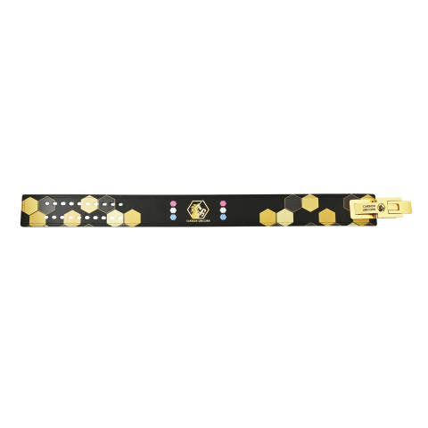 Weightlifting Belts