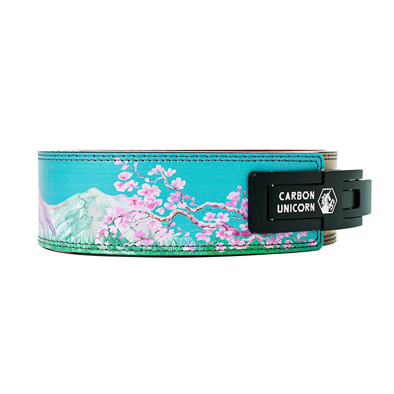 Weightlifting Belts